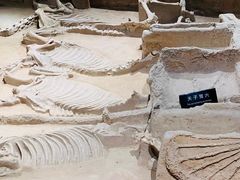 -洛阳周王城天子驾六博物馆