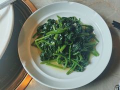 -新渝城·川菜·火锅(区庄店)
