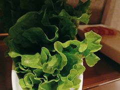 -海底捞火锅(东西巷店)