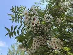 -鹫峰国家森林公园