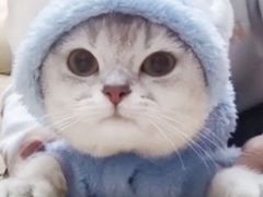 -建辉湖南土菜馆(南大街店)