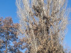 -张掖大佛寺景区