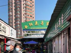 -曲阳花鸟市场(曲阳路店)