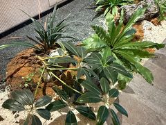 -奈雪茶院·茶室茶馆(广州粤海天地店)