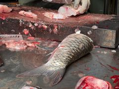 -梅记大块头爆鱼店(乍浦路店)