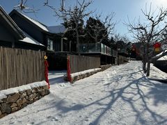-蓟洲国际滑雪场