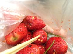 -雪儿钱局泡菜