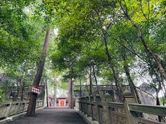 -都江堰普照寺