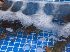 -大锅强·蒸海鲜青岛菜(吾悦广场店)