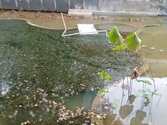 -天怡·鱼工厂(梅溪湖店)