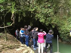 -怀托摩萤火虫洞