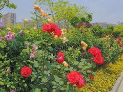 -无锡市市民中心