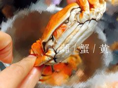 -蟹宝酒楼•农家菜(古城北路店)
