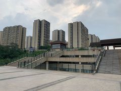-张坝桂圆林公园