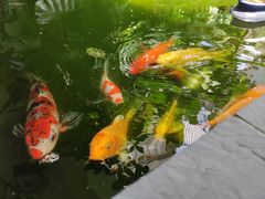-漫笙舍Manse·咖啡·民宿
