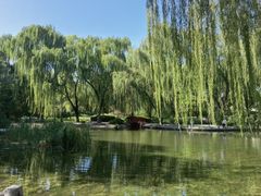-玲珑塔公园