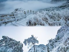 -金子山原生态旅游风景区
