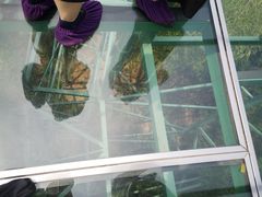 -陶祖圣境风景区