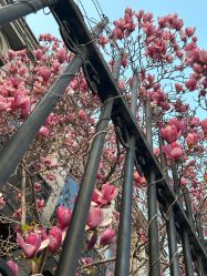 -北京大学第一医院妇产儿童医院