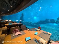 -涛·海底餐厅·美人鱼·自助餐·海底隧道(三亚海棠湾洲际度假酒店)
