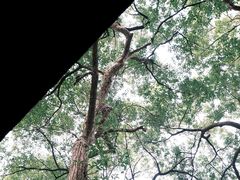 -凤凰御元艺术基地