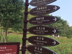 -宁波浙东大竹海景区