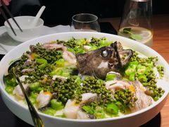 青青椒麻龙胆鱼-CHIC1699远洋私厨