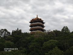 -长安公园