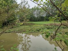 -桤木河湿地公园