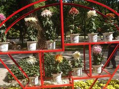 -上海市龙华烈士陵园