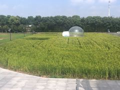-MUSEO COFFEE咖啡博物馆