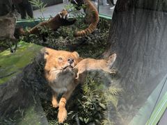 -国家自然博物馆