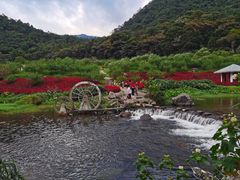 -广州市石门国家森林公园