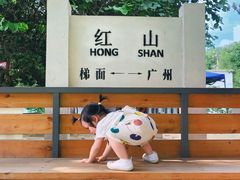 -红山村