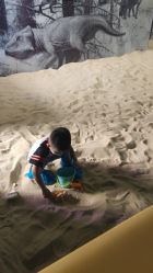 -恐龙探索乐园(磁器口店)