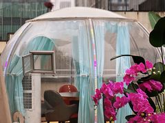 -享月汤皇·海鲜小火锅·聚会(曲江创意谷店)