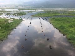 -腾冲北海湿地