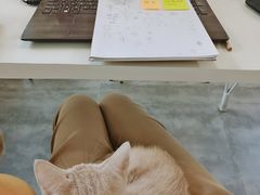 -五进制 Coffee Shop