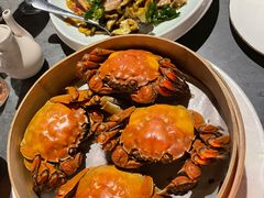 -RIVIERA 松鹤楼(外滩店)