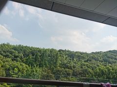 -上海佘山茂御臻品之选酒店(原佘山艾美酒店)