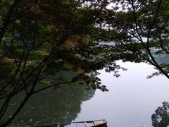 -天怡·鱼工厂(梅溪湖店)