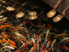 -龙悦湾酒家·八阵鱼生·渔人码头店