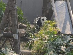 -柳州市动物园