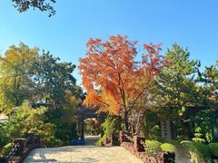 -熙古里艺术村
