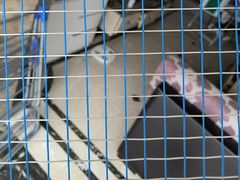 -YONEX苗江运动城(源深店)