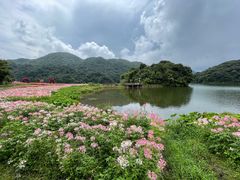 -广州市石门国家森林公园