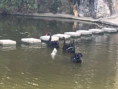 -昆明动物园