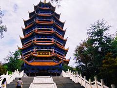 -铁山坪森林公园