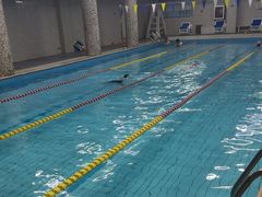 -万豪游泳俱乐部(总店)