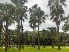 -江心屿景区